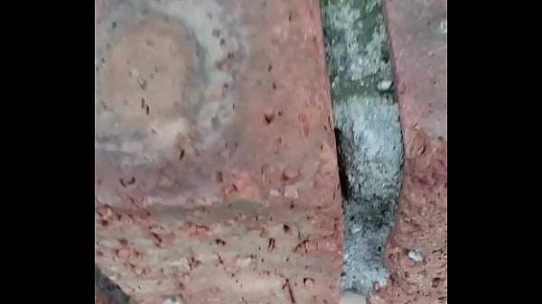 Verification Video - verification-video - Video 3337712