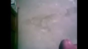 tributo a humeda 3004