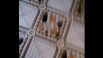 Soloboy, Kjgkjkjkjg, Lkhlg - Unknown - 2025 - Amazing - Session - Video 3367663