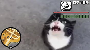 Gato, Sexo-e-drogas - Unknown - 2025 - Amazing - Scene - Video 3361113