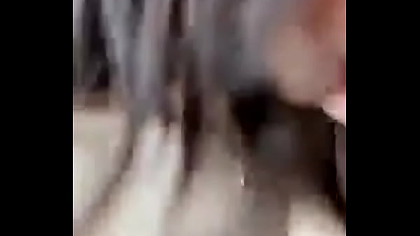 Como Se Llama? - blowjob, homemade, big-tits, casero, grandes-tetas - Video 3364117