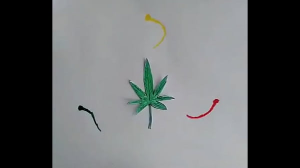 Verification Video - verification-video - Video 3325175
