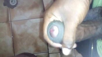 Brunette, Shemale, Jhordy - Shemale - 2025 - Amazing - Performance - Video 3323074