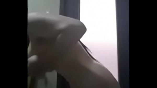 Arabe Venezolana 3