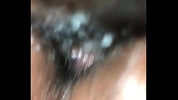 Delaware, Wilmington - Unknown - 2025 - Wild - Experience - Video 3356547