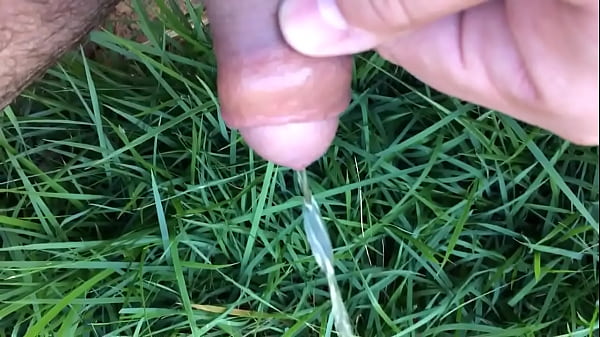 Nettoparana - Cock, Dick, Gay, Gay-amateur, Gay-porn - Gay - 2025 - Sexy - Performance - Video 3156206