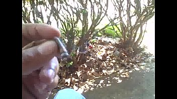 Free Black Ebony Porn Archive 21