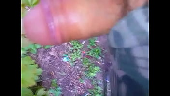 Samotny Poranny Spacer