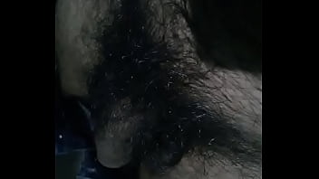 Verification Video - verification-video - Video 3344667