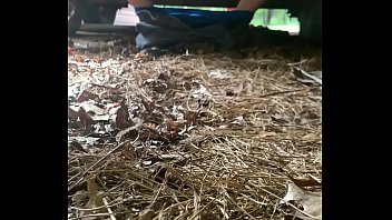 Jacking Off At The Barn