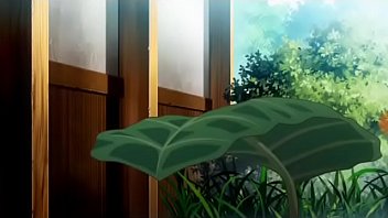 Verification Video - verification-video - Video 3344018