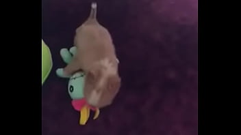 Verification Video - verification-video - Video 3343938