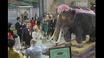 Bat, Batman - Unknown - 2025 - Sexy - Session - Video 3309824