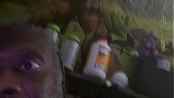 Verification Video - soloboy, verification-video - Video 3306874