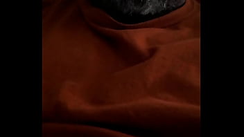 Verification Video - verification-video - Video 3340740