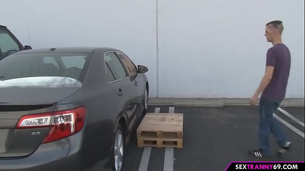 The Mobile Gloryhole