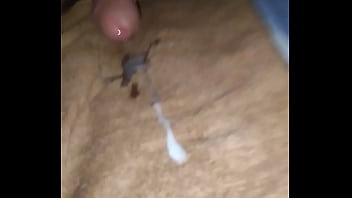 Una Pajita En La Noche