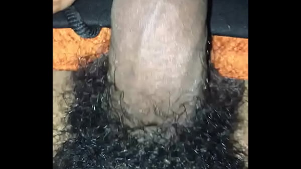 Verification Video - verification-video - Video 3334281