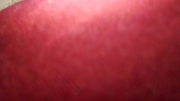 La Vagina De Mi Amiga - vagina, depiladita - Video 3408349