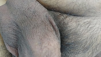 5-26-2019 testiculos en recuperacion