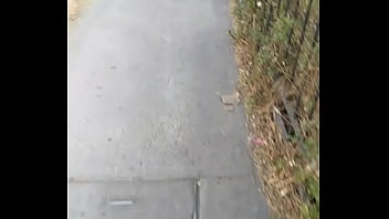 Vídeo De Verificación - verification-video - Video 3124680