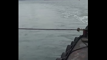 Verification Video - verification-video - Video 3323647