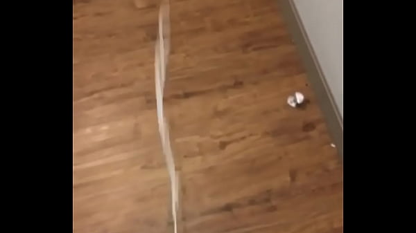 Cumshot, Cum, Sperm, Amateur, Young, Horny, Gay, Amateurs, Load, Soloboy, Gay-amateur - Gay - 2025 - Incredible - Session - Video 3403476