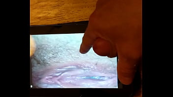 Hommage à Jujupaquin224