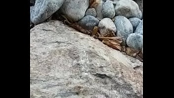 Mijão Na Praia De Abrico