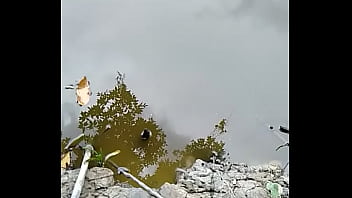 Verification Video - verification-video - Video 3322329