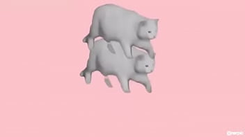 Pink, Gay, Kitty - Gay - 2025 - Hot - Show - Video 3114783