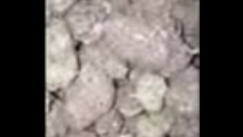 Verification Video - verification-video - Video 3106302