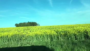 Verification Video - verification-video - Video 3103370