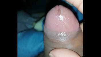 Acariciando Al Pelón