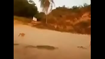 Verification Video - verification-video - Video 3305241