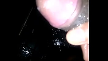 Novinho Negro Dotado