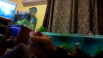 Cumshot, Cum, Solo, Soloboy - Cumshot - 2025 - Passionate - Experience - Video 3300218