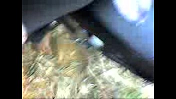 Unknown - 2025 - Wild - Show - Video 6586592