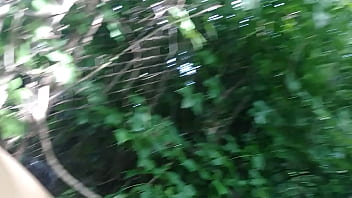 A Nature Walk Light Skin Edition.