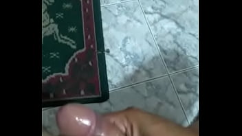 Bear Venezolano Divino 4