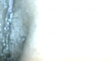 Chatte Black Africaine