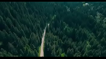 Canal Ridículo Do Youtube