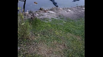 Verification Video - verification-video - Video 3084956