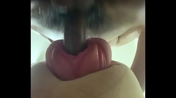 Verification Video - verification-video - Video 3247878