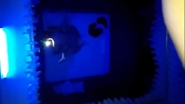 Motel, Esposa - Unknown - 2025 - Steamy - Performance - Video 3285067