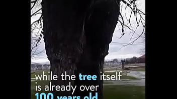 Novinhas, Filmes - Unknown - 2025 - Incredible - Scene - Video 3273906