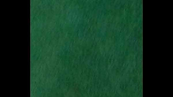 Tributo Para X Zorrita X