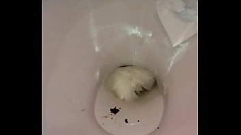 Public Toilet Licking