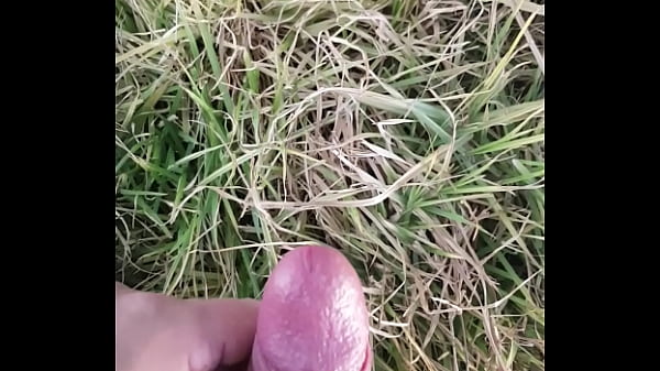 Cumshot, Outdoor, Masturbation, Masturbate, Gay - Gay - 2025 - Incredible - Experience - Video 3243571