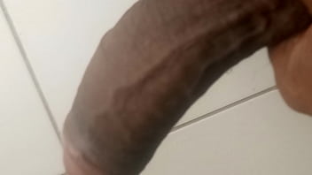 Eu Filmando Minha Jiboia Meia Bomba